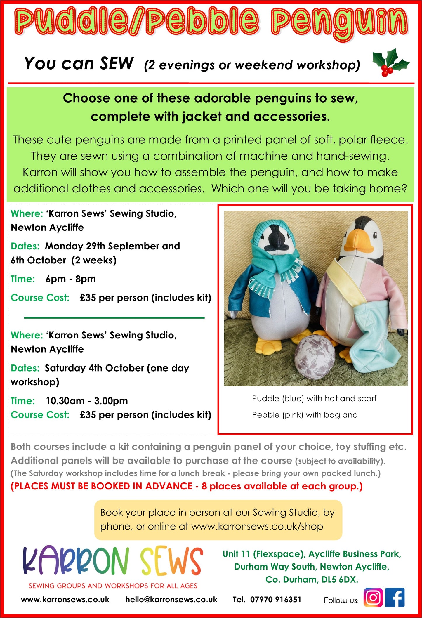 Puddle/Pebble Penguin - evening workshop