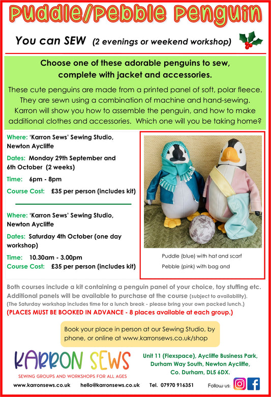 Puddle/Pebble Penguin - weekend workshop